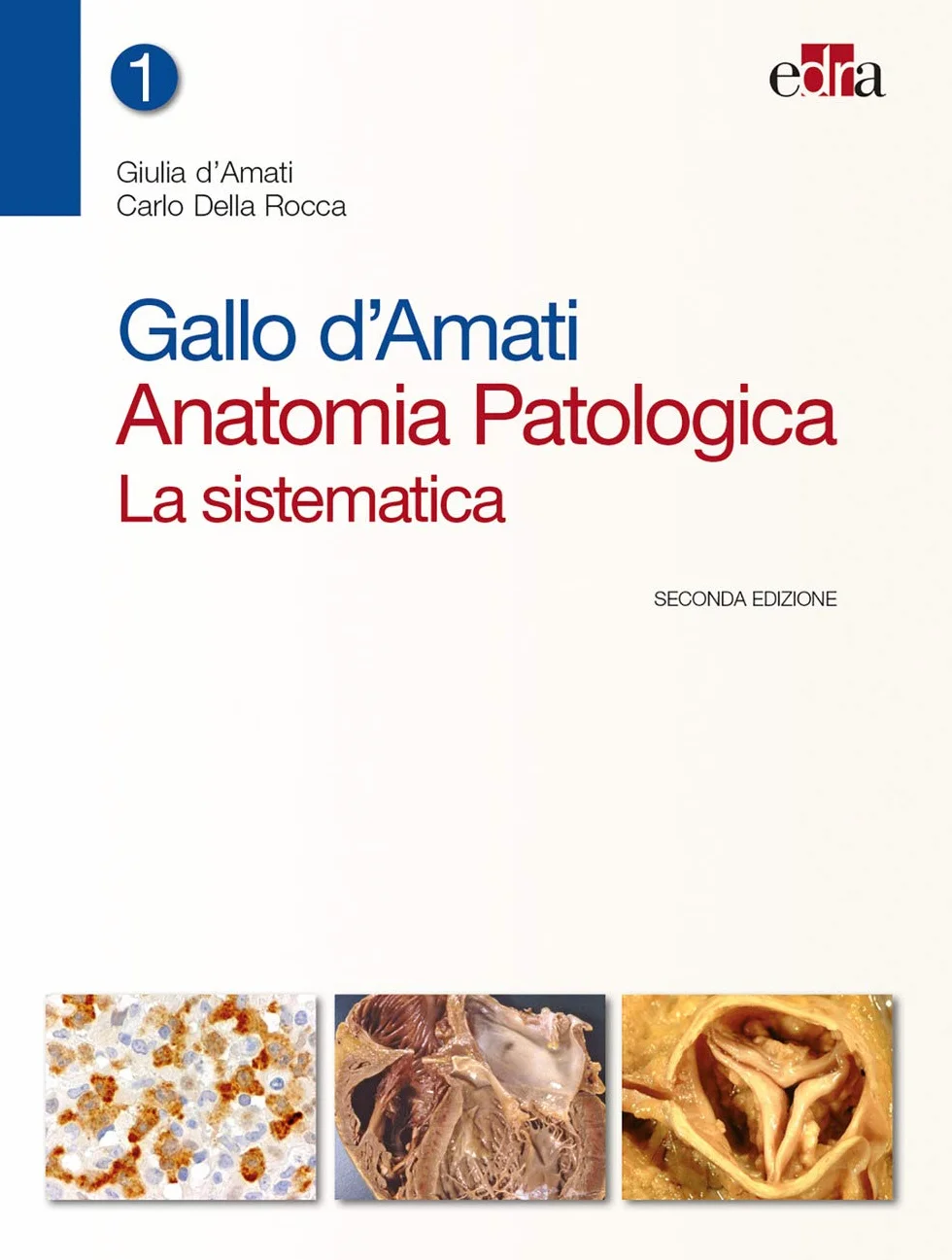 Gallo d'Amati. Anatomia patologica. La sistematica (Vol 1 + Vol 2) [Due volumi indivisibili]