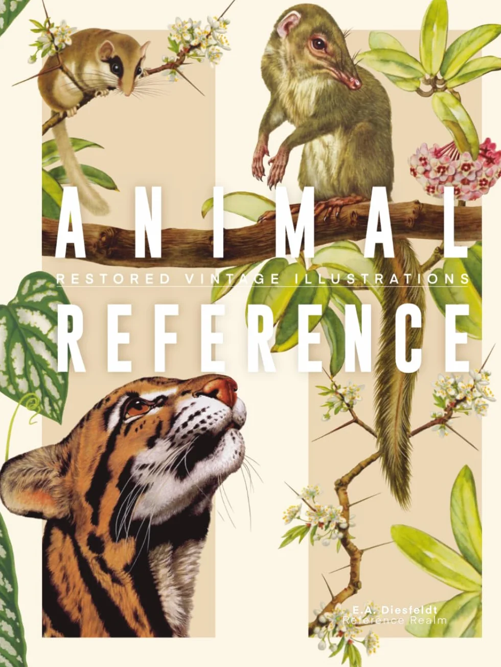 Animal Reference Book: Mammalian Species, Restored Vintage Illustrations for Artists and Designers