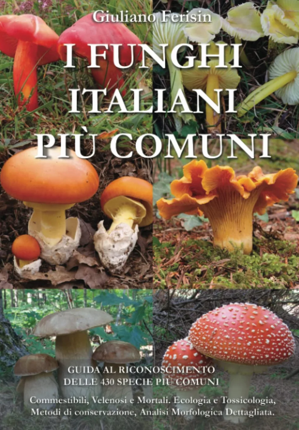 I FUNGHI ITALIANI PIU' COMUNI: GUIDA AL RICONOSCIMENTO DELLE 430 SPECIE PIÙ COMUNI: Commestibili, Velenosi e Mortali. Ecologia e Tossicologia, Metodi di Conservazione e Analisi Morfologica Dettagliata