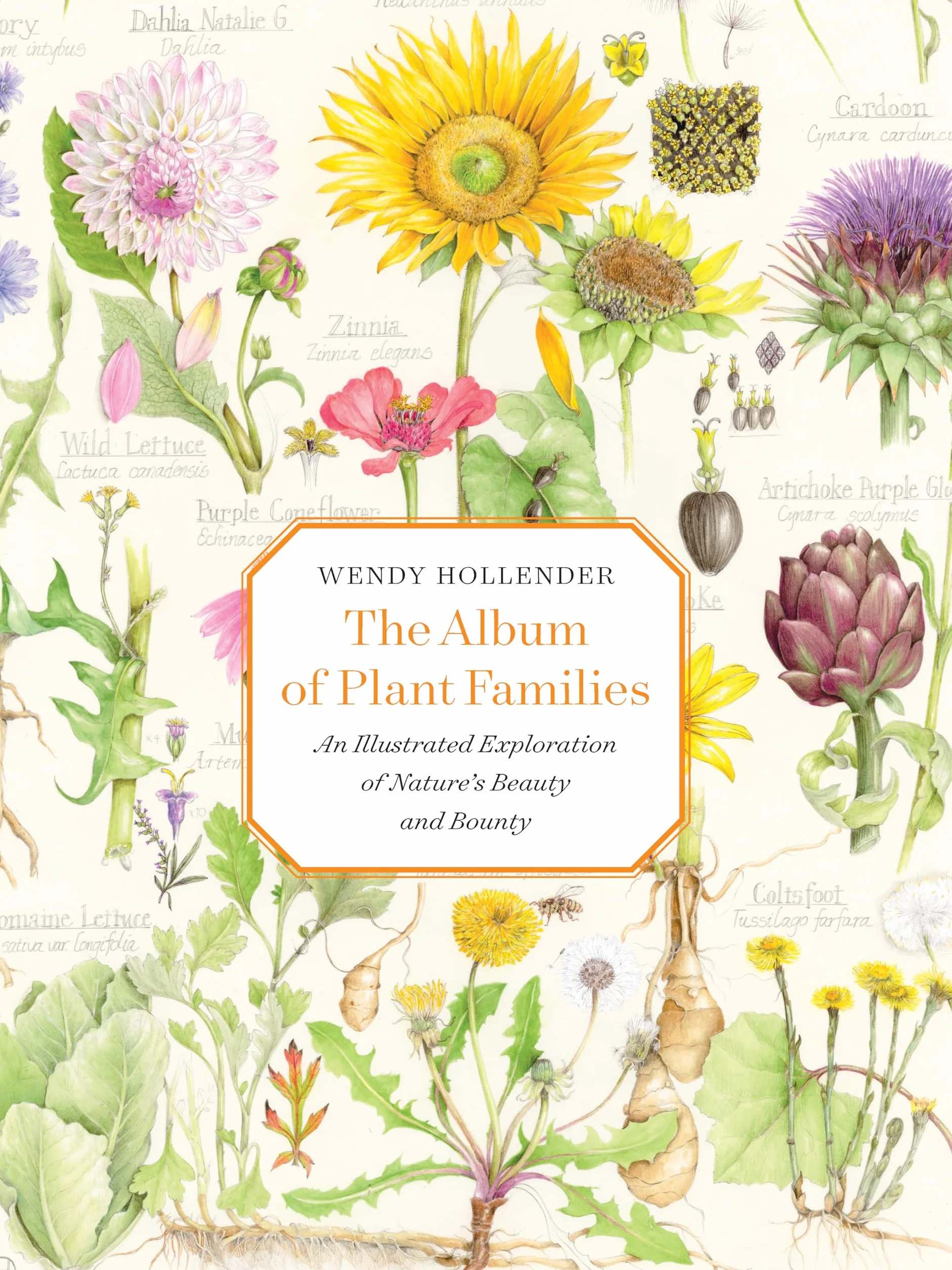 The Album of Plant Families: An Illustrated Exploration of Nature's Beauty and Bounty