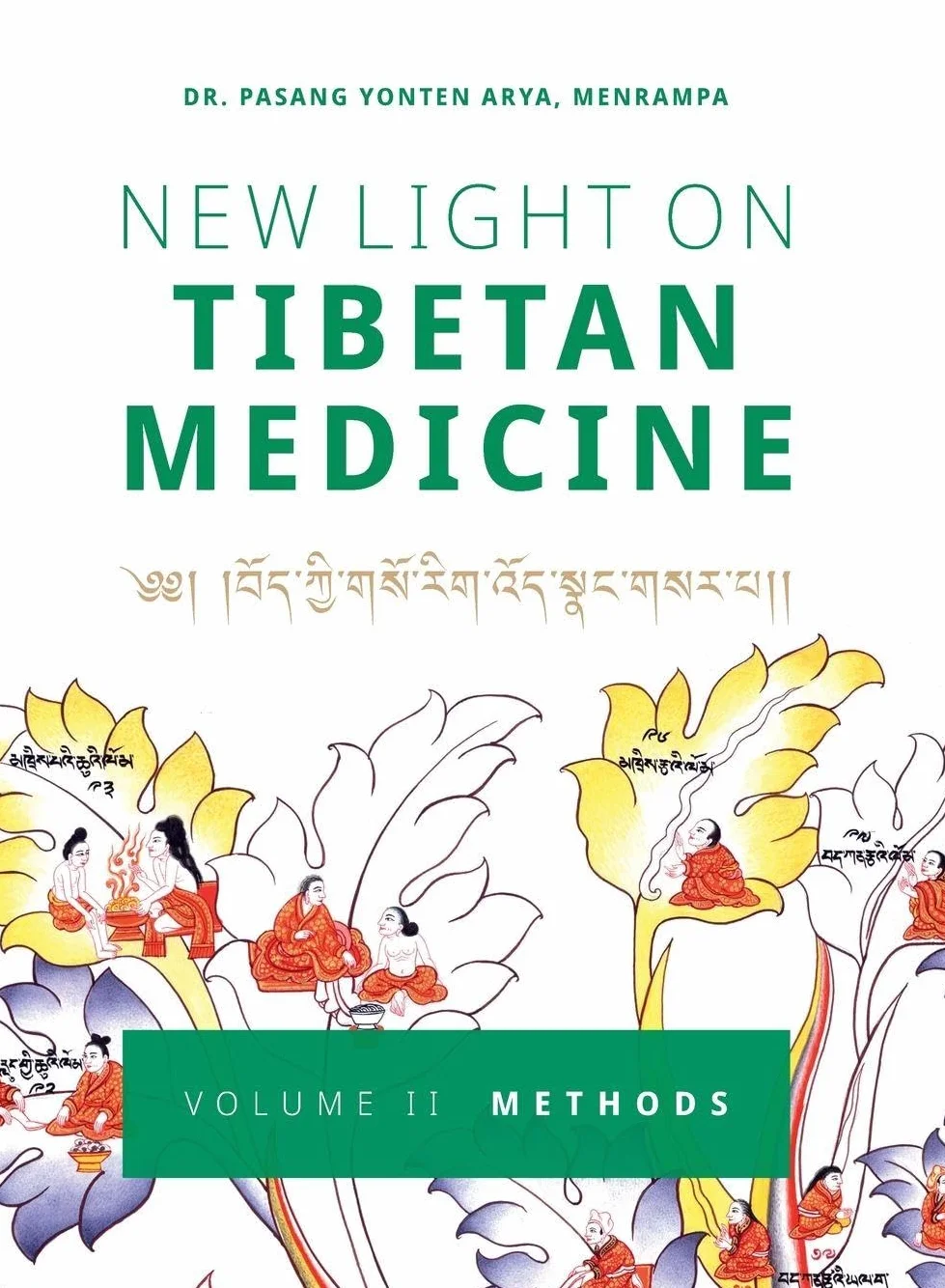New Light on Tibetan Medicine: Volume II - Methods: 2
