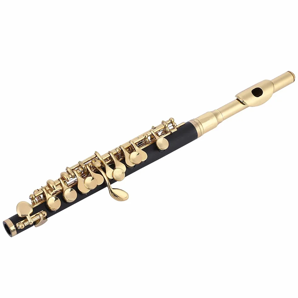 Flauto Ottavino Piccolo, ABS Cupronickel Mezza Misura Strumento Musicale con Custodia Imbottita, Flauto Piccolo per Studenti, Musicisti e Uso Domestico