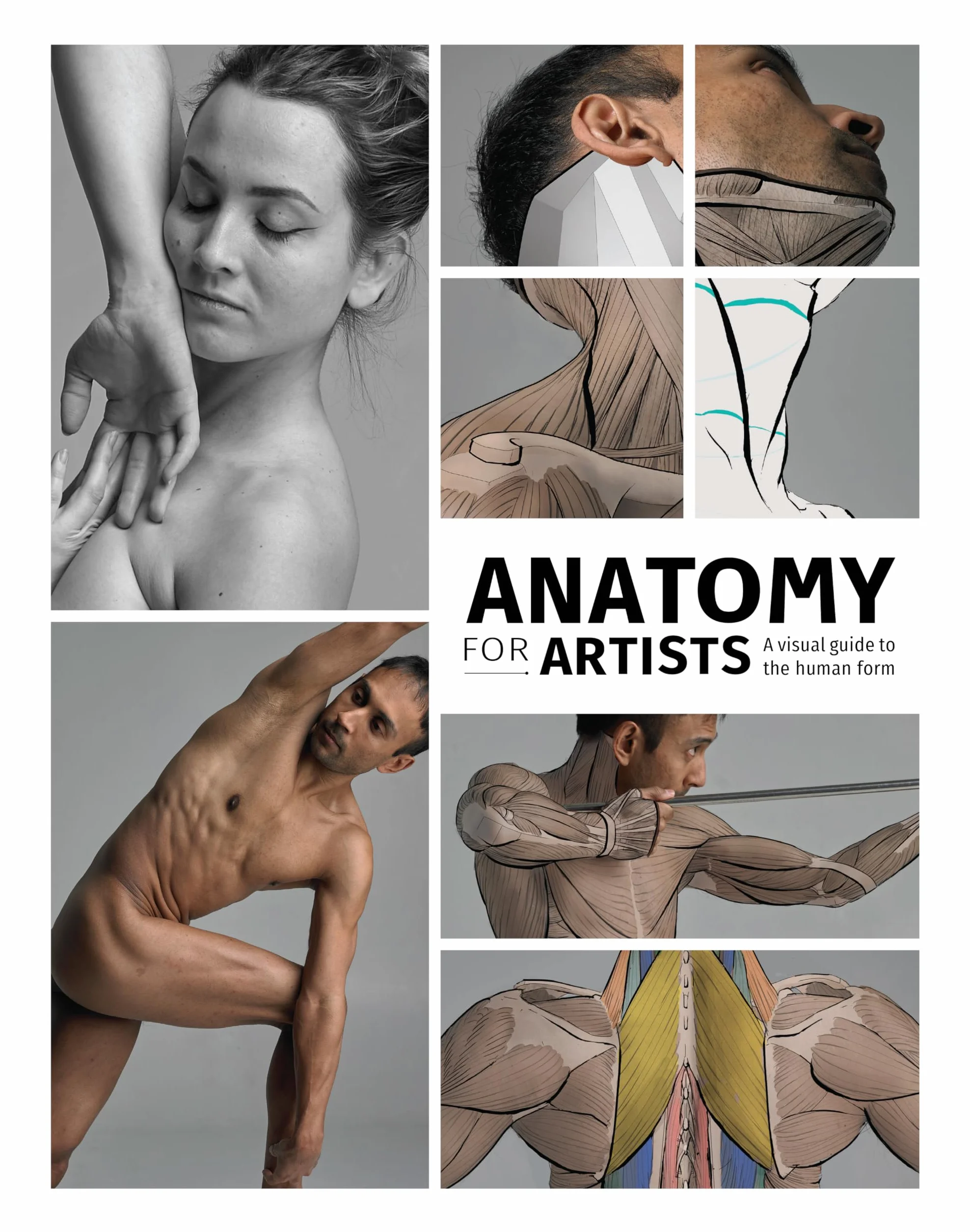 Anatomy for Artists: A Visual Guide to the Human Form