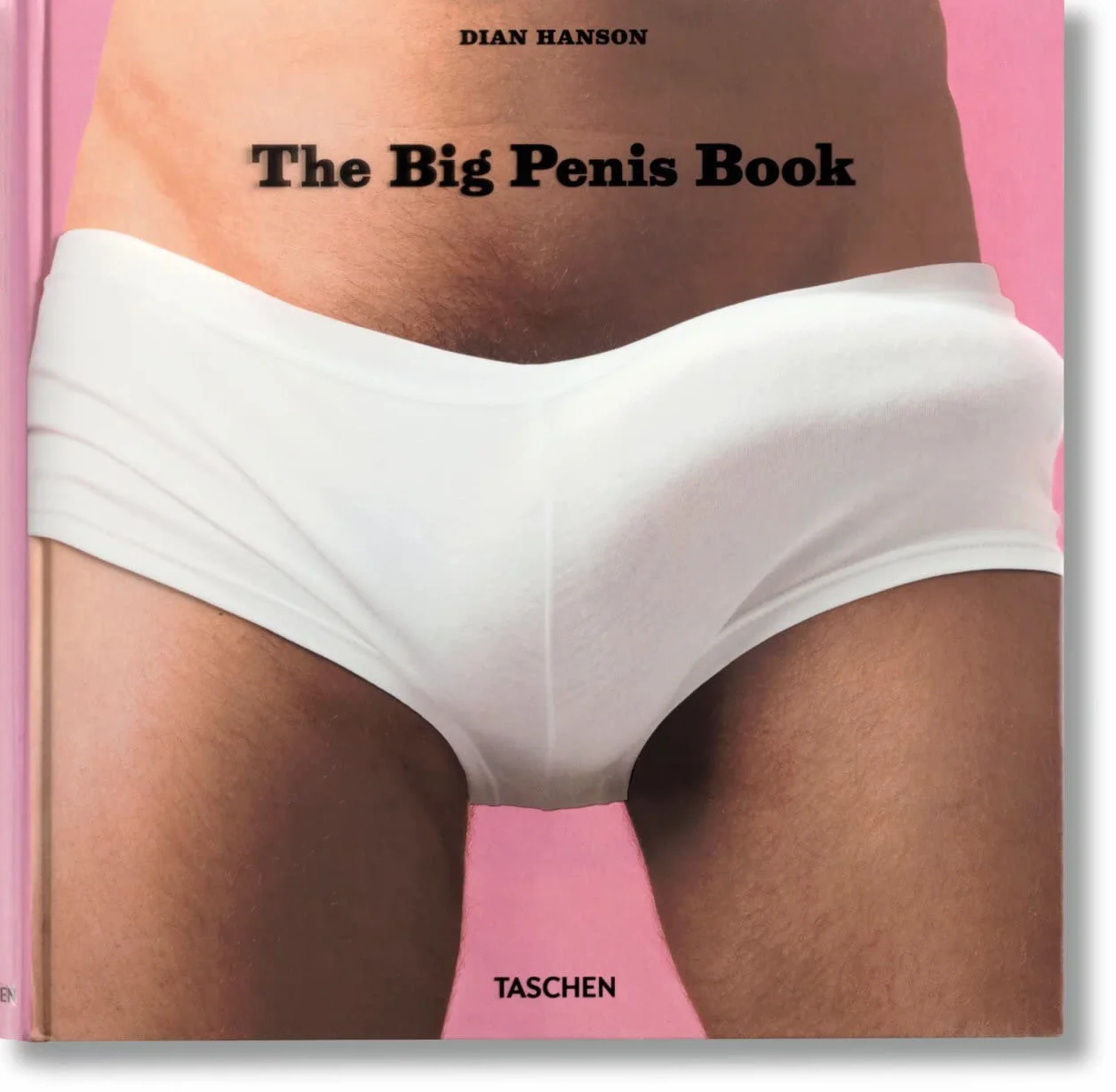 The Big Penis Book: The Fascinating Phallus