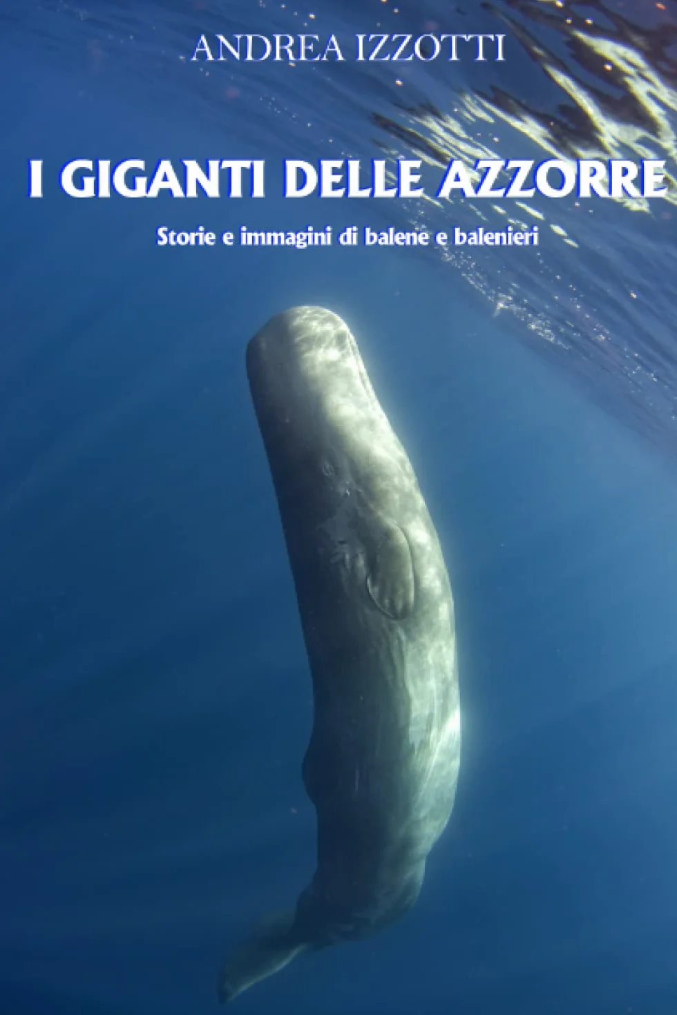 I giganti delle Azzorre: Storie di balene e balenieri