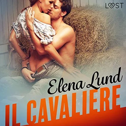 Il cavaliere: Breve racconto erotico