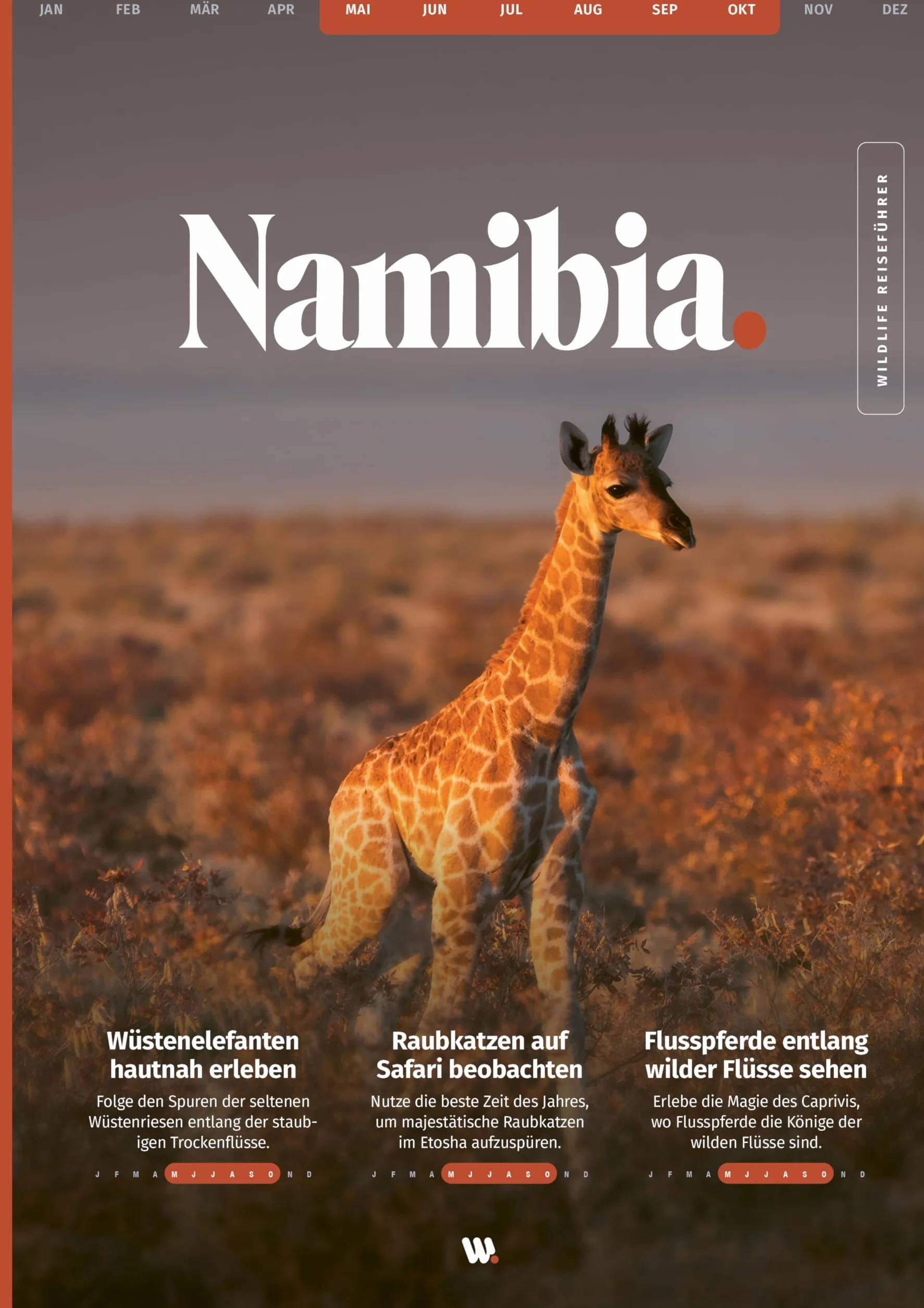 WILDLIFE TOUR GUIDE Reiseführer Namibia: Dein ultimativer Roadtrip-Guide für unvergessliche Tierbeobachtungen als Selbstfahrer (inkl. Etosha-Karte und App)
