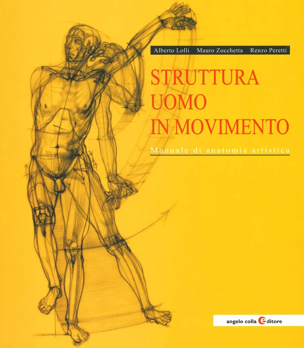 Struttura uomo in movimento. Manuale di anatomia artistica