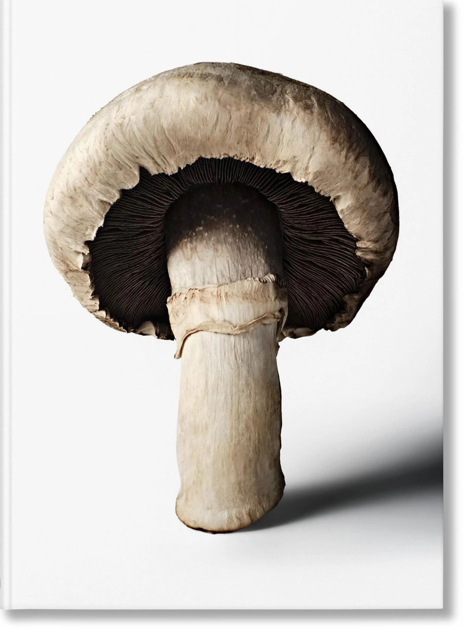 The Gourmand's Mushroom: A Collection of Stories and Recipes