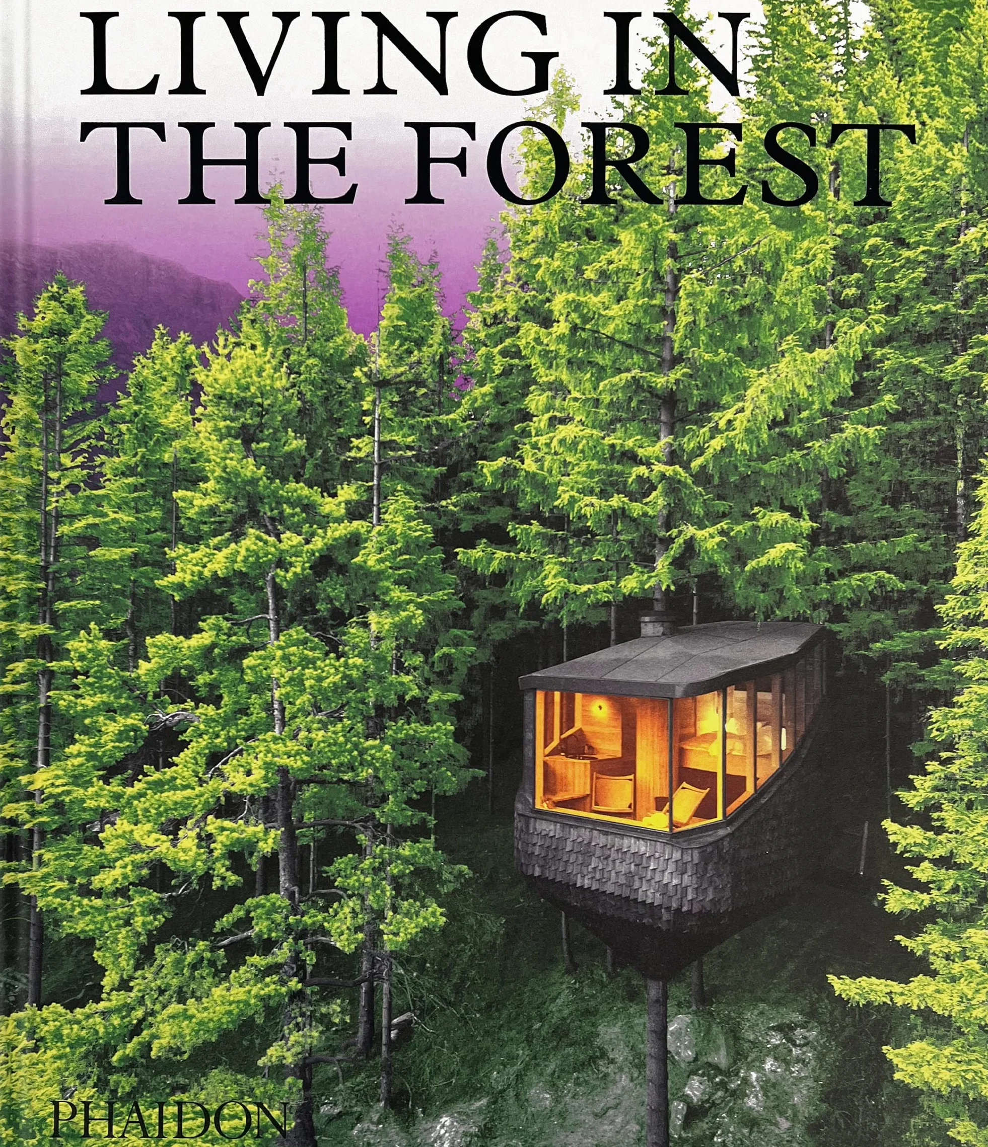 Living in the forest: Contemporary Houses in the Woods