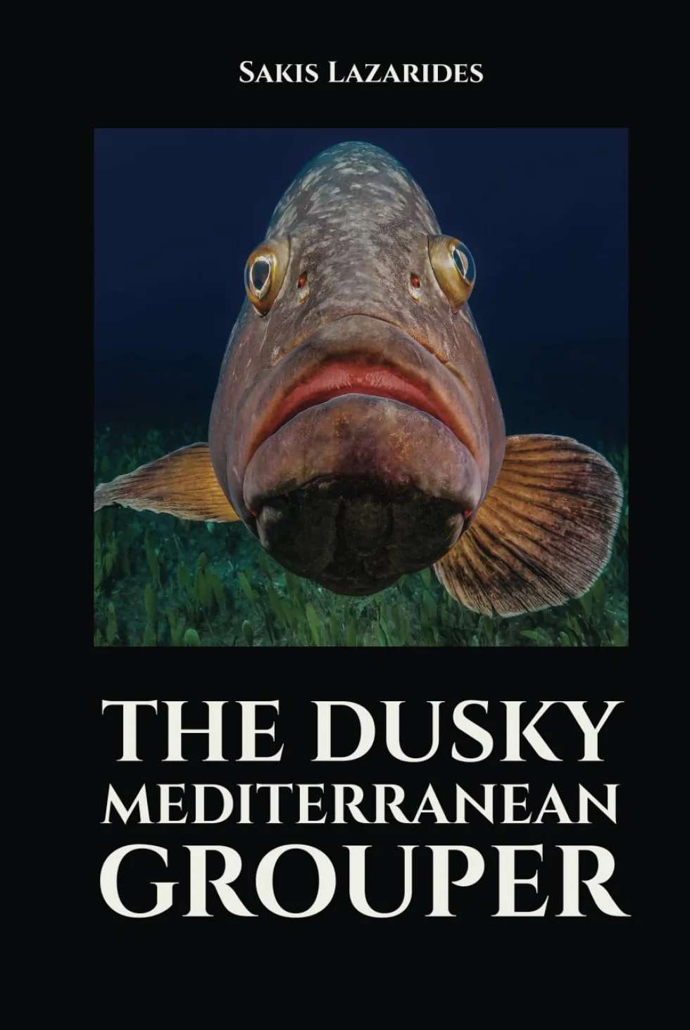 The Dusky Mediterranean Grouper