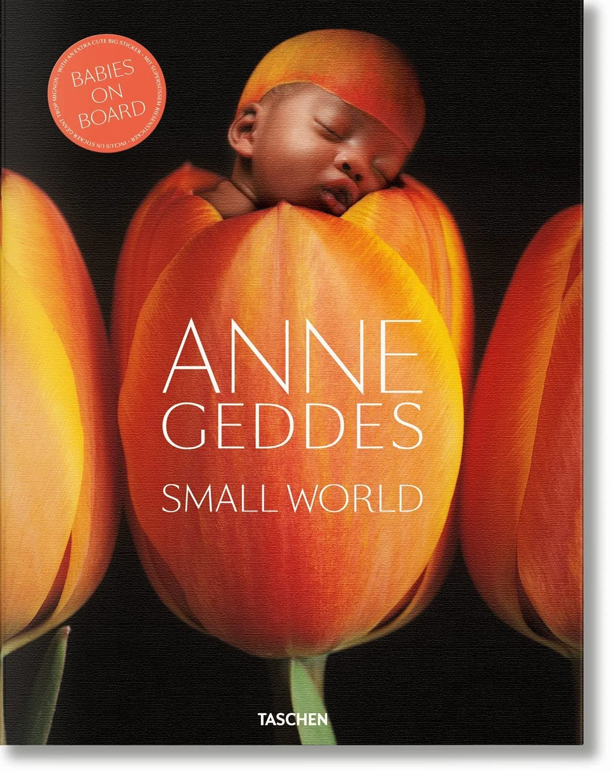Anne Geddes: Small World