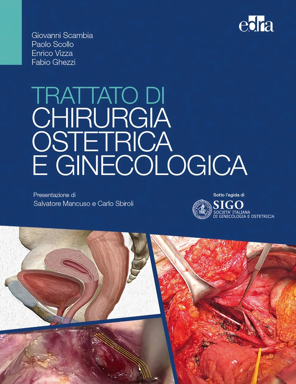 Trattato di chirurgia ostetrica e ginecologica