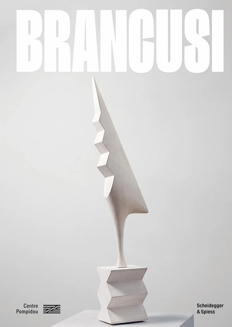 Brancusi: (Published in conjunction with a major exhibition at the Centre Pompidou in Paris)
