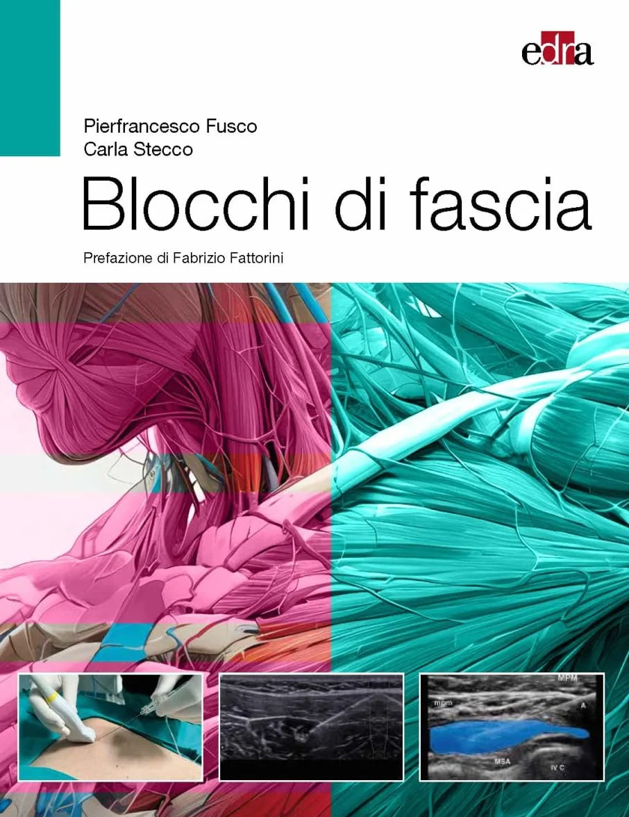 Blocchi di fascia