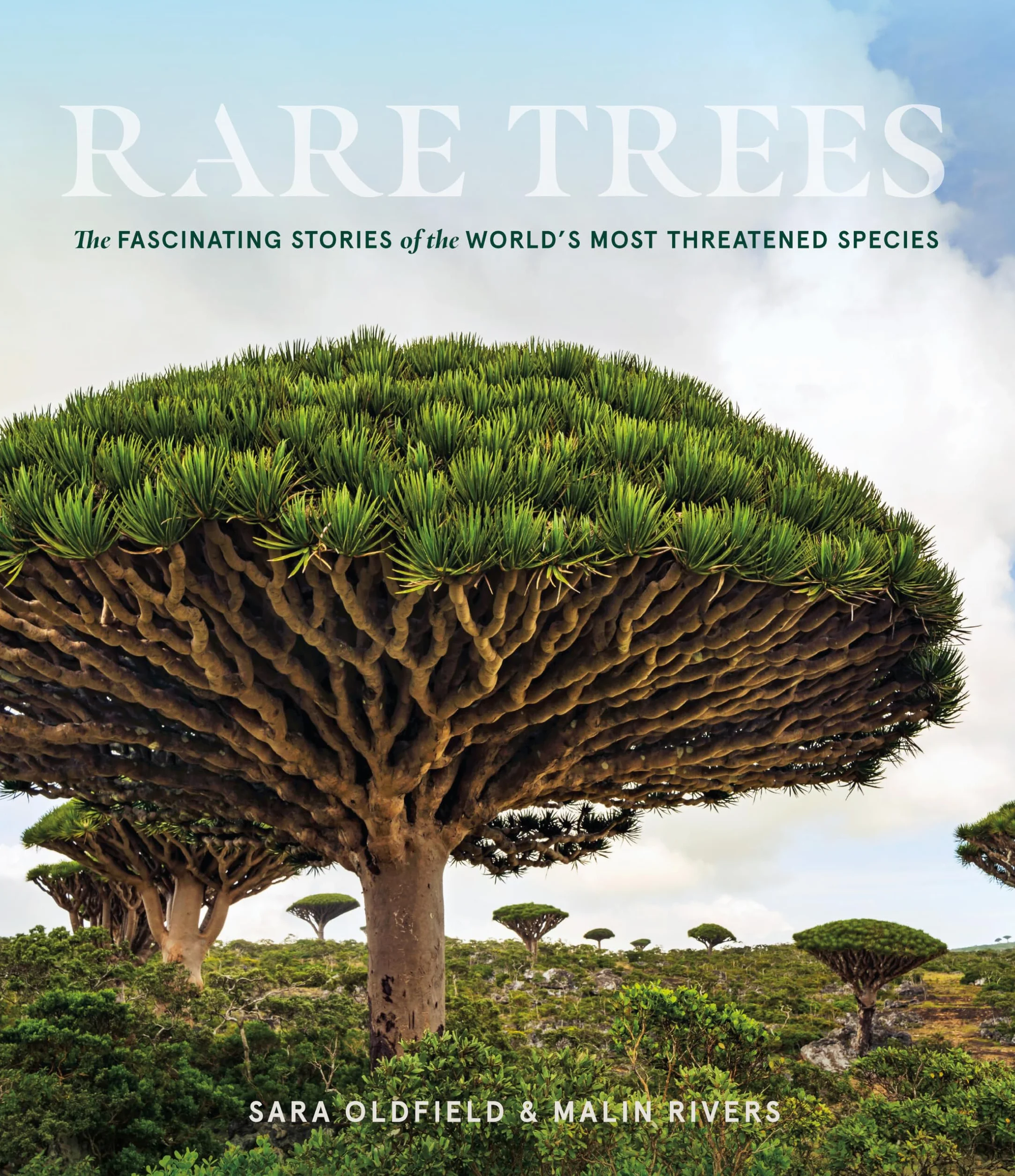 Rare Trees: The Fascinating Stories of the World’s Most Threatened Species