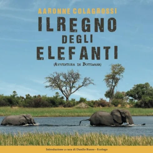 Il Regno degli Elefanti: Avventura in Botswana