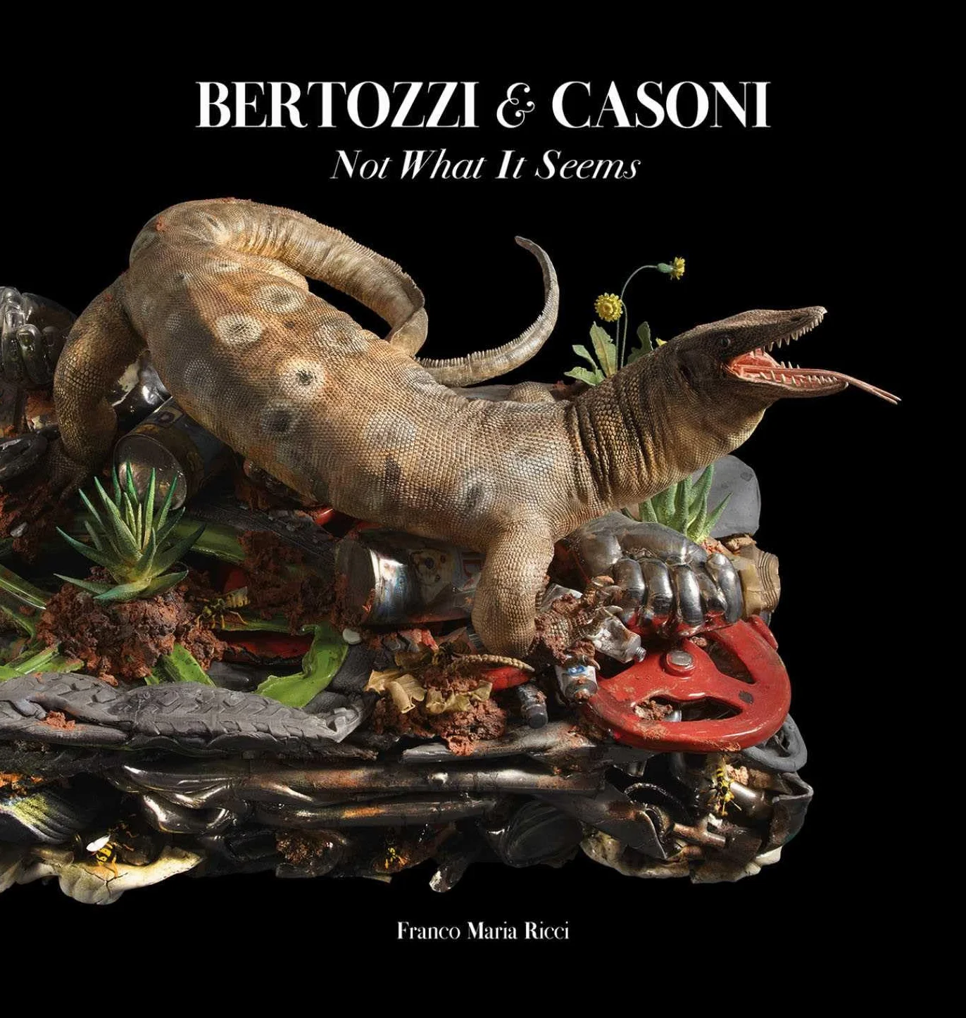 Bertozzi & Casoni. Non è quel che sembra. Ediz. a colori: Not What It Seems