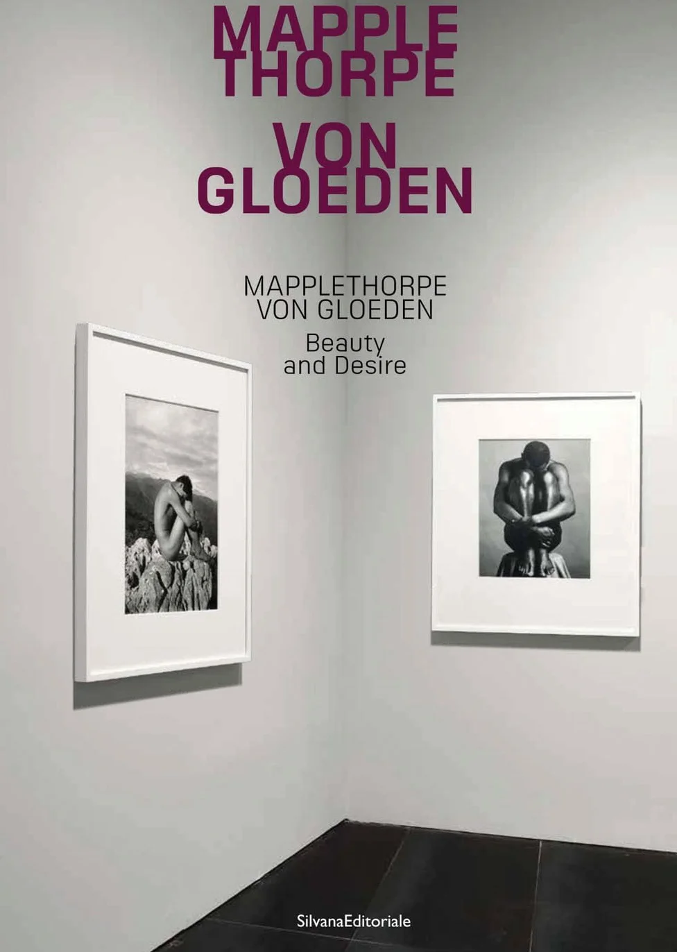 Mapplethorpe/Von Gloeden: Beauty and Desire