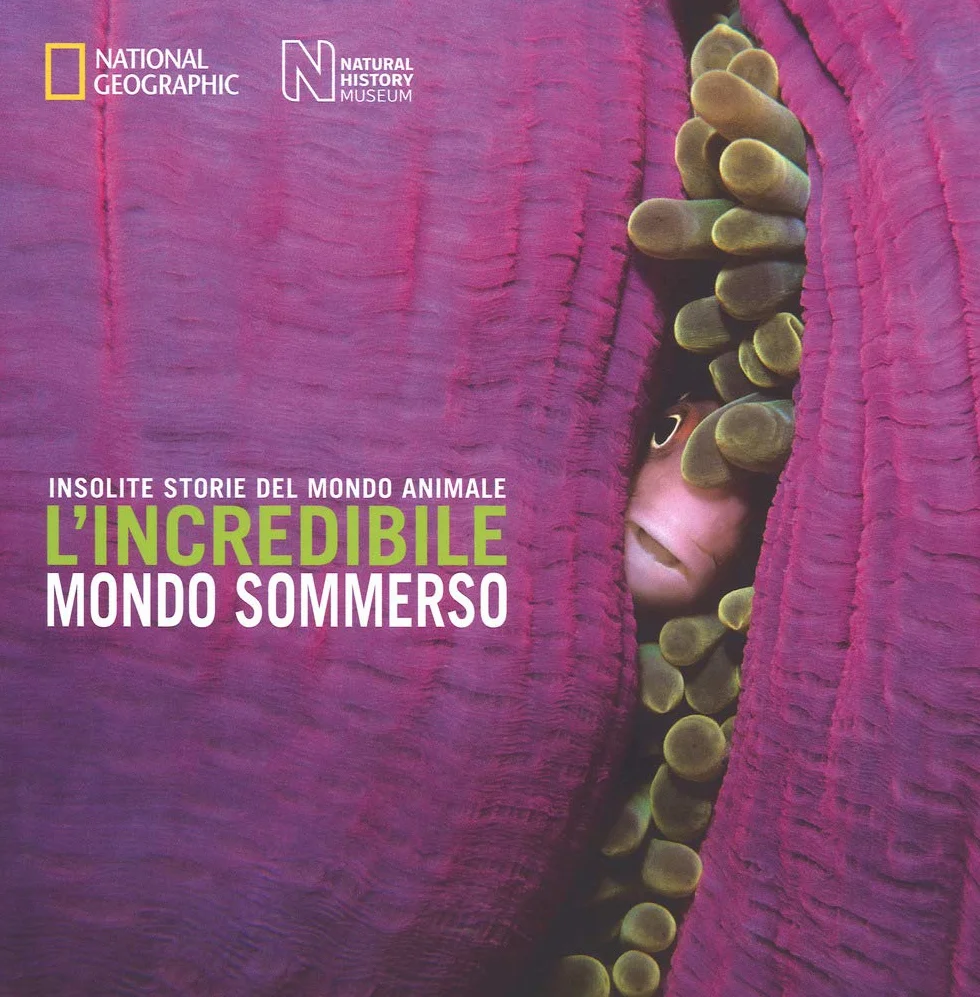 L'incredibile mondo sommerso. Insolite storie del mondo animale. Ediz. a colori