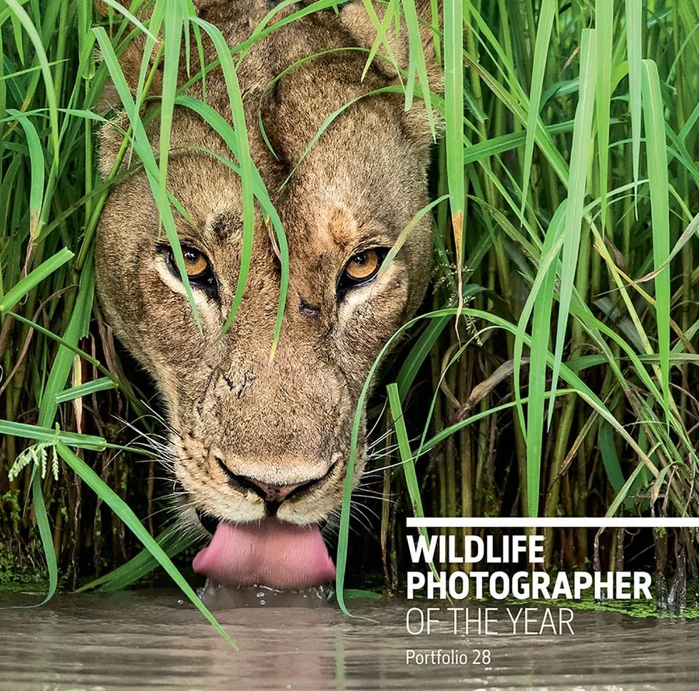 Wildlife Photographer of the Year: Portfolio 28