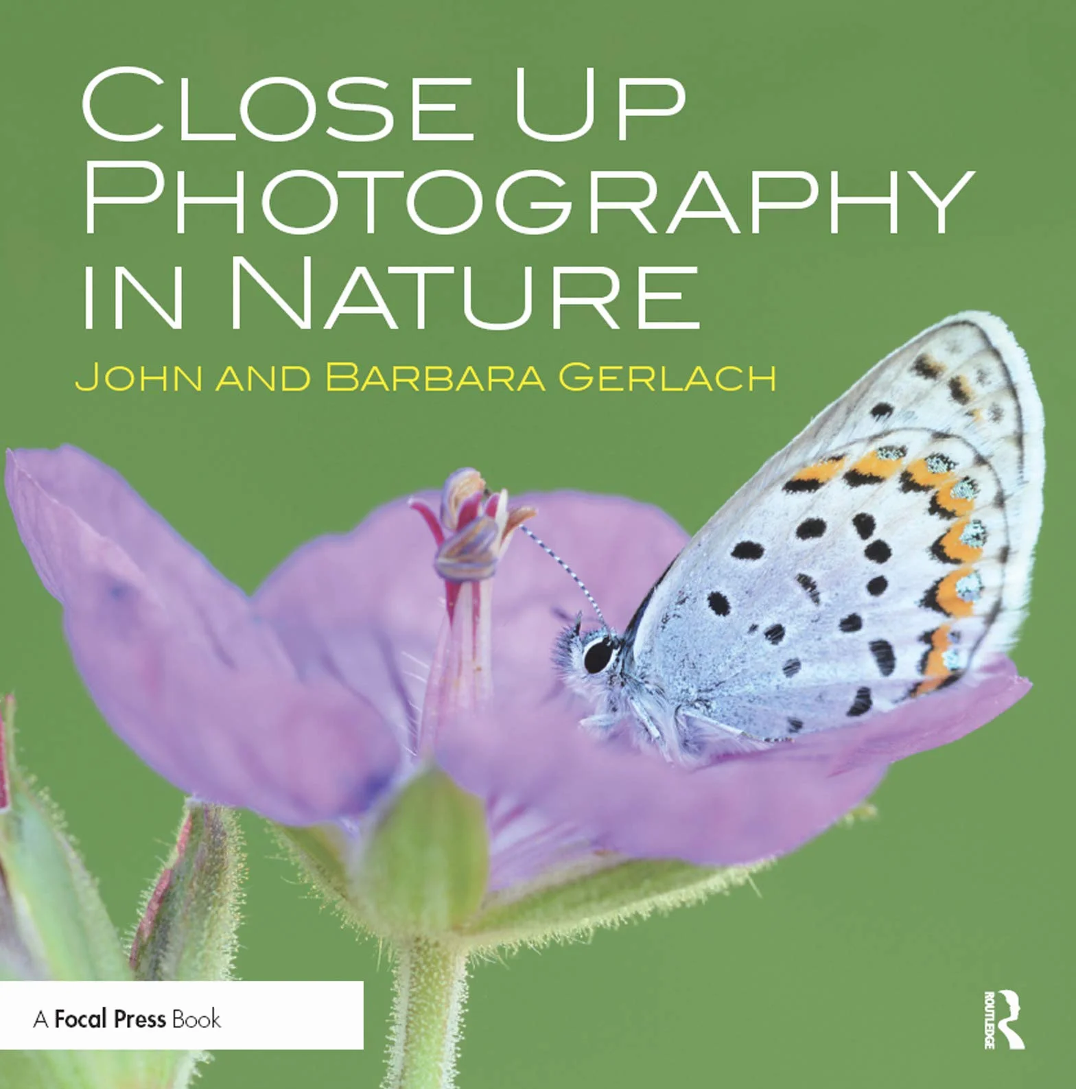 Close Up Photography in Nature