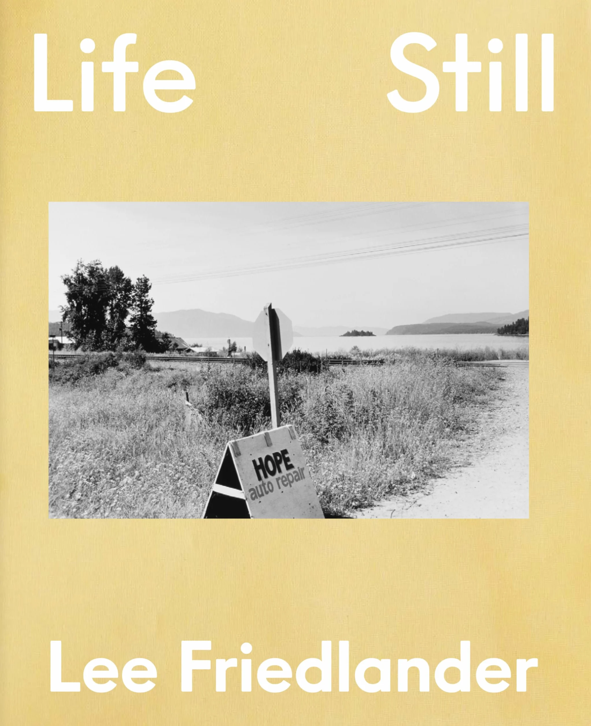 Lee Friedlander Life Still