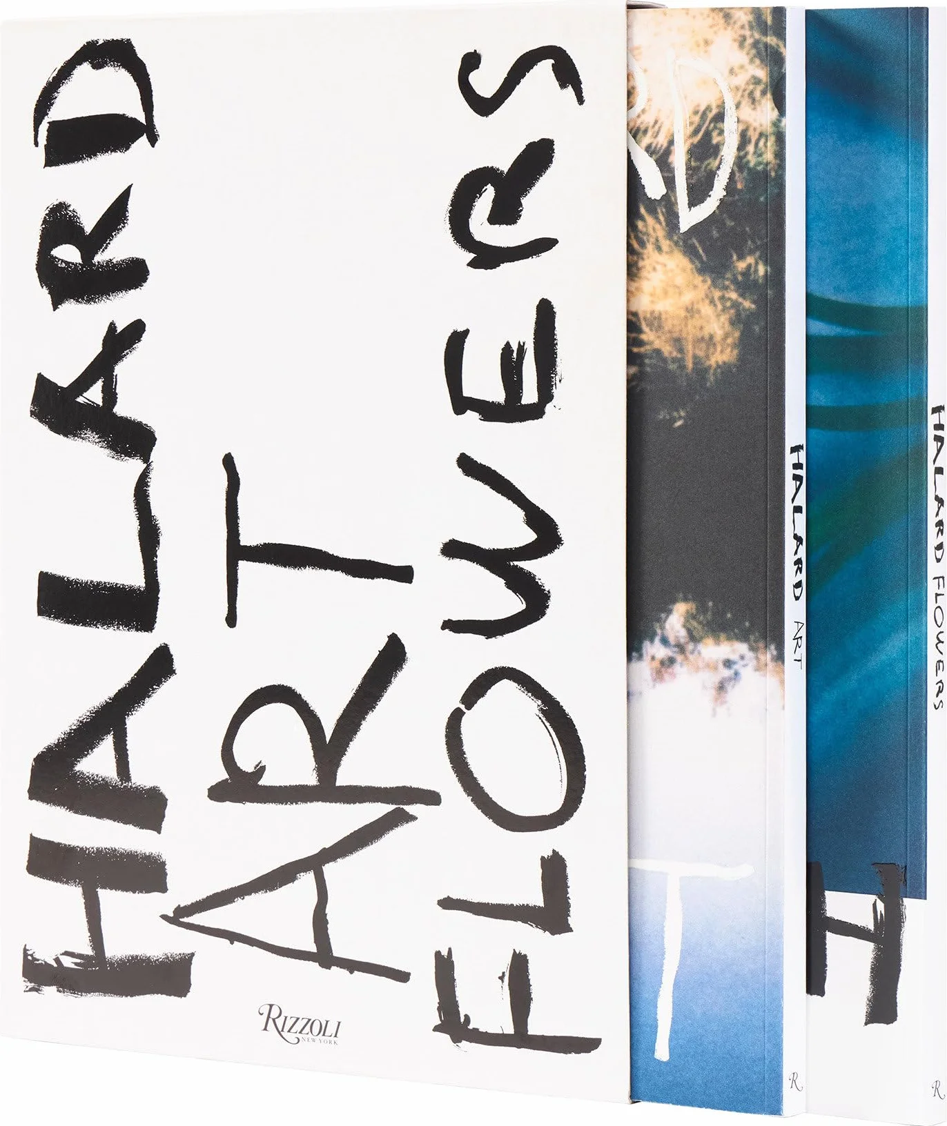 Francois Halard: Art & Flowers