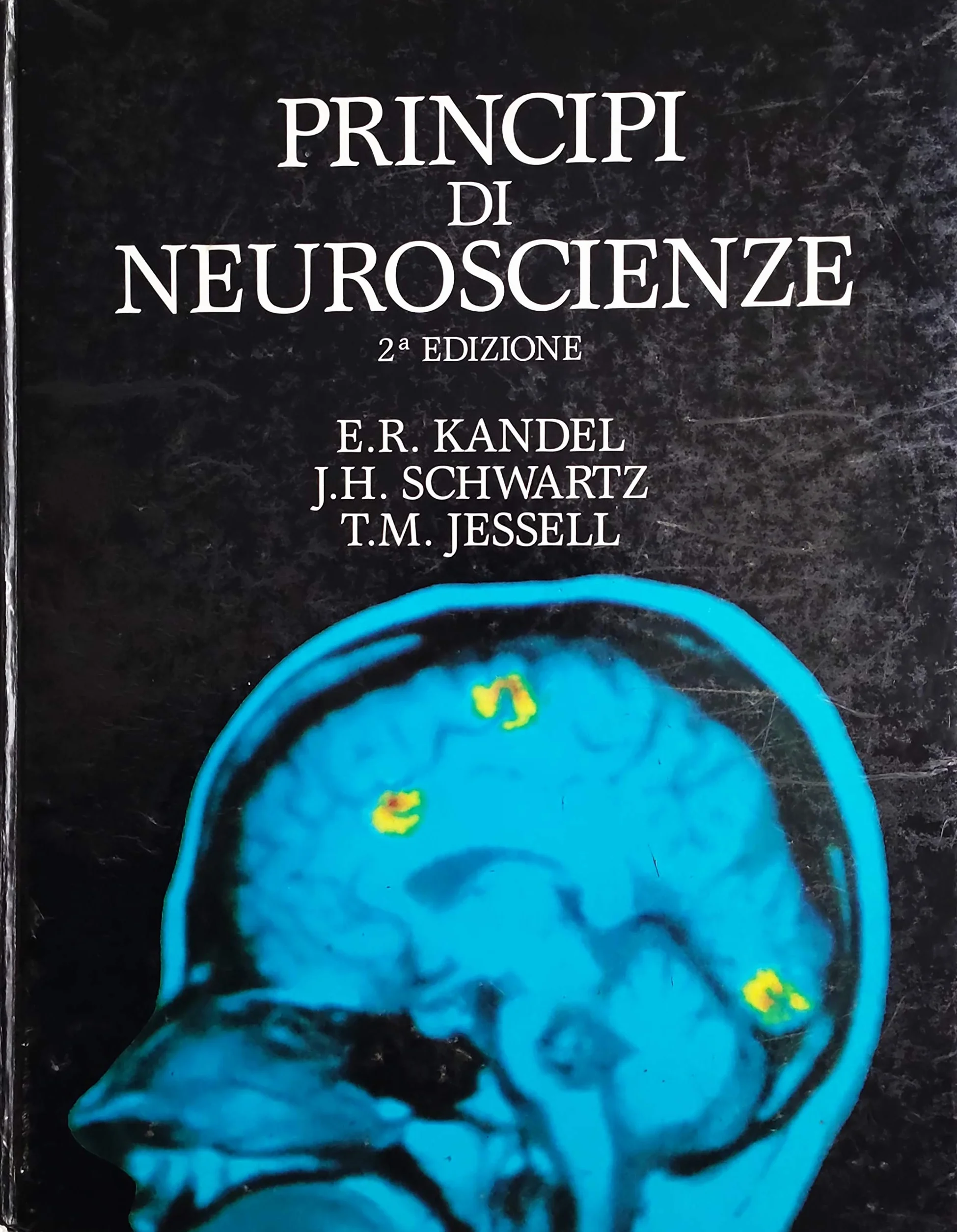 Principi di neuroscienze