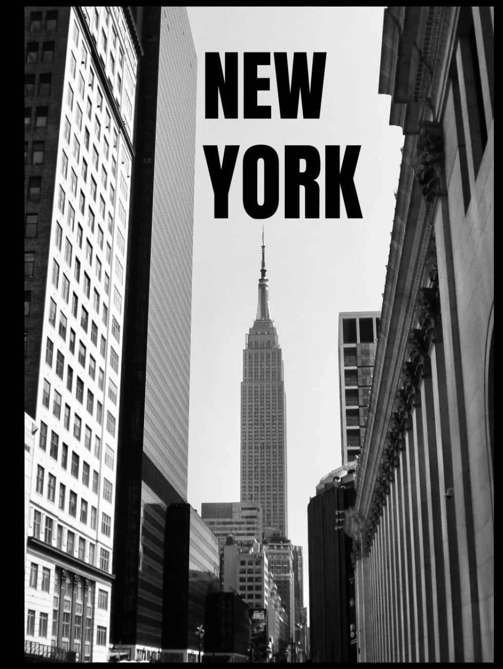 NEW YORK: New York: coffee table book /A Journey Through the City of Dreams /home decor piece /photography