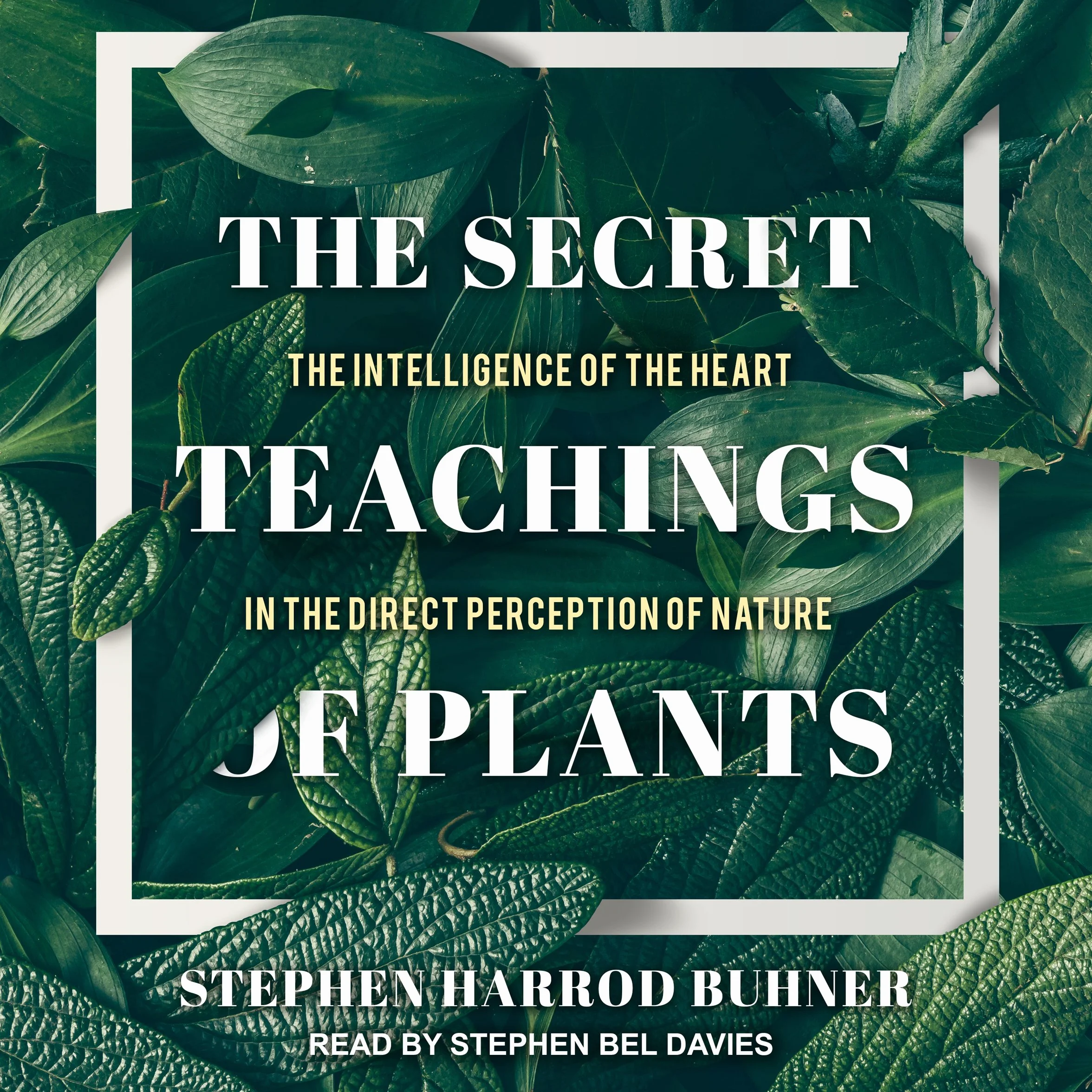 The Secret Teachings of Plants: The Intelligence of the Heart in the Direct Perception of Nature